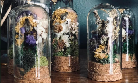 Four terrariums with small flowers and real preserved bees