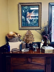 The image shows a cozy corner of the shop, featuring a rustic mantle adorned with mystical decor and natural elements. The fur of a fox, named Mortimer, is draped across the mantle, adding an earthy, natural touch. Above the mantle is a framed picture of Mortimer the fox, complementing the fur and serving as a tribute. The decor around the mantle includes candles, small trinkets, and witchy items, creating a warm and magical atmosphere. The scene evokes a blend of nature, craftsmanship, and enchantment, adding to the shop's unique charm.